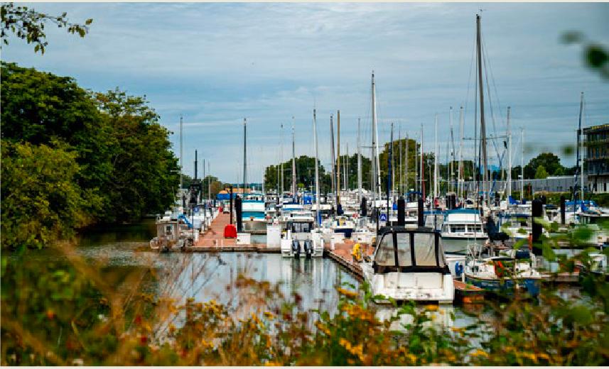 Fraser River Quay