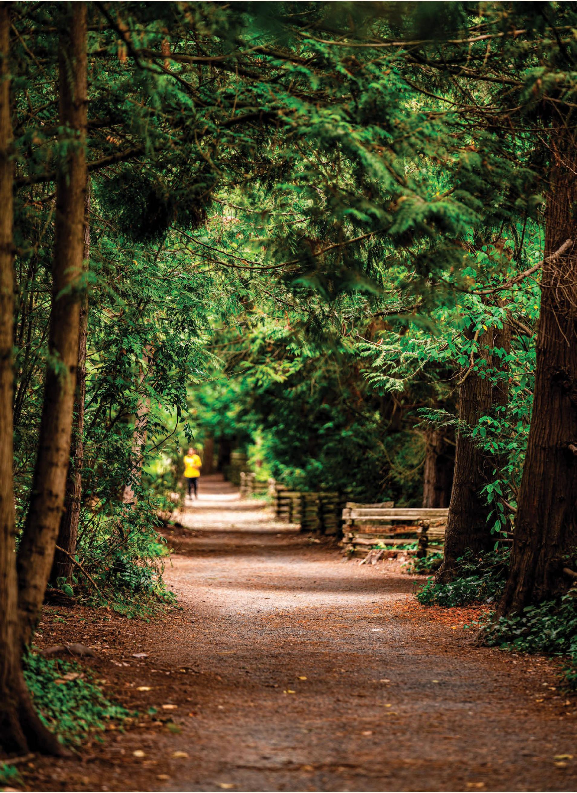 Walking paths at Langara Golf Course